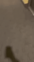 86609294