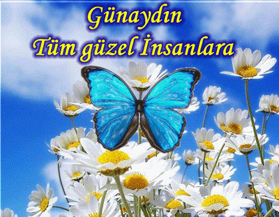 01fa8f824333cc6e077b9ff846836d89