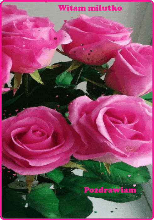 oie_rounded_corners-min