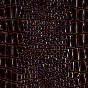 78df240f78355d9111d90b26ee3e56df