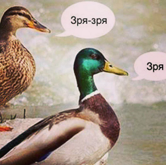 asd324234234324324