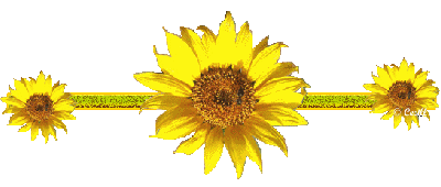 62850280_puce93270_puce93270123953930289_gros