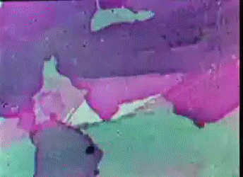 сон