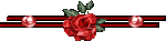 354
