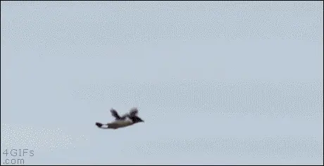 3dc3a56