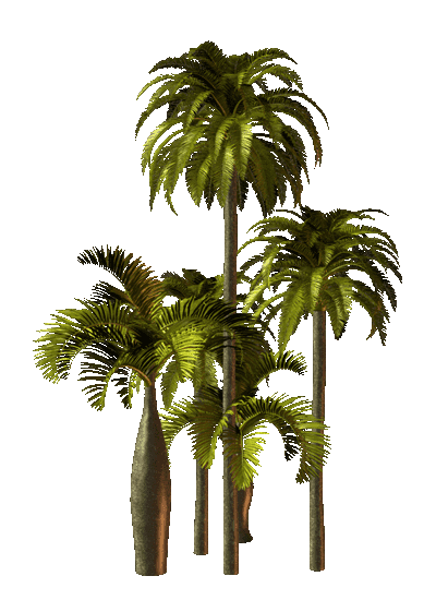 palms__27__by_ola55-d74u1ut