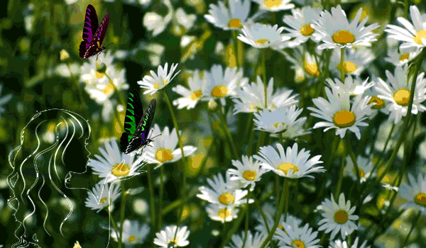 Darite-deucnkam-cveta