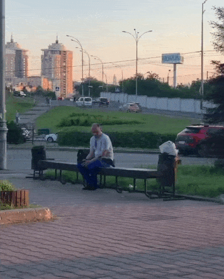 Пташка