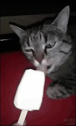 iccrmct6