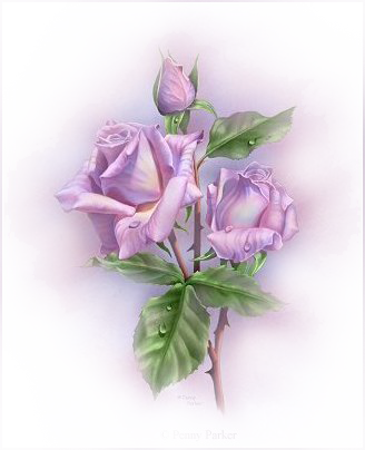 0_cf2cf_6bbb59c9_orig