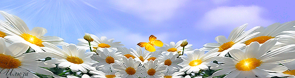 295a50b62aa94d62c100bfae9cf4a47a