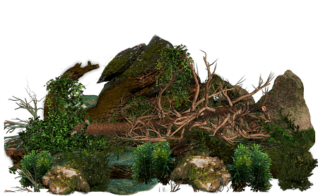 FUNr933treetrunkfive1024_zpsmxjbyyfo 1 (1)