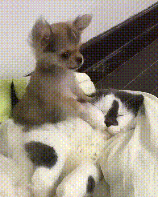 ююююююююююююю