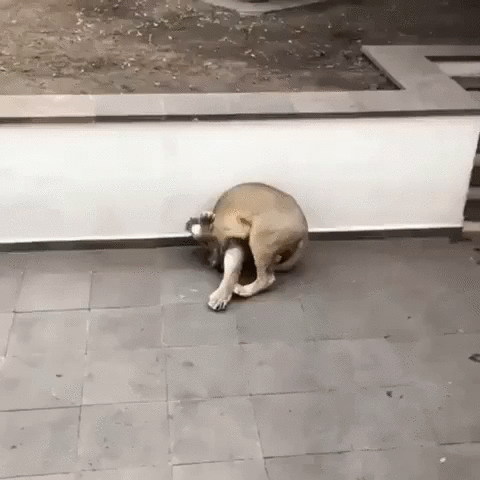 день на курсах йоги.