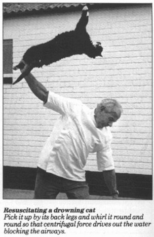 33741-204820-5fc5f6d1305490b45f4094dfc6563d42