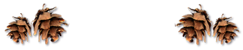 _4