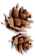 _4