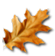 _1