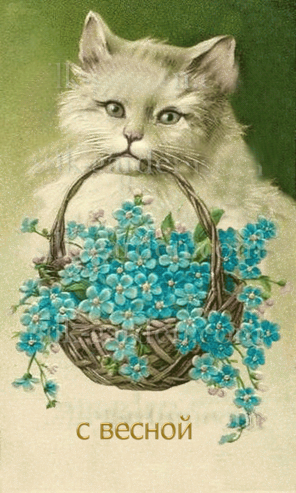 -весной-наступающей