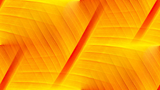 Бесшовные Оранжевые фоны от tane4ki 777