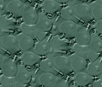 88167456_large_log64