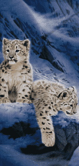 png-transparent-cheetah-leopard-towel-cat-carnivora-beach-towel-beach-mammal-cat-like-mammal-thumbna