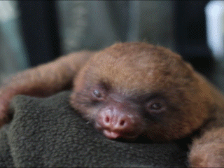 с добрым утром