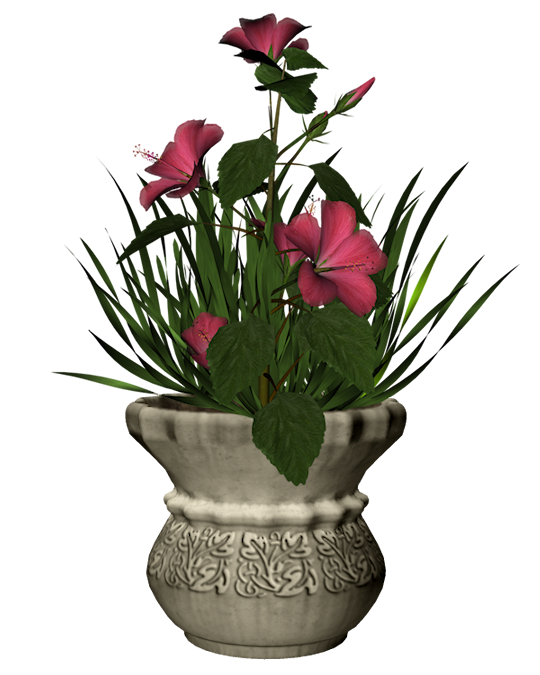_v_vazone1_yapfiles.ru