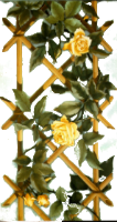 _roza_yapfiles.ru