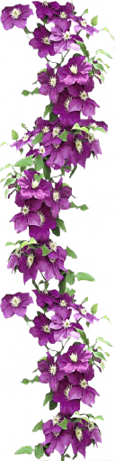 0_16888d_17a9999c_orig_yapfiles.ru