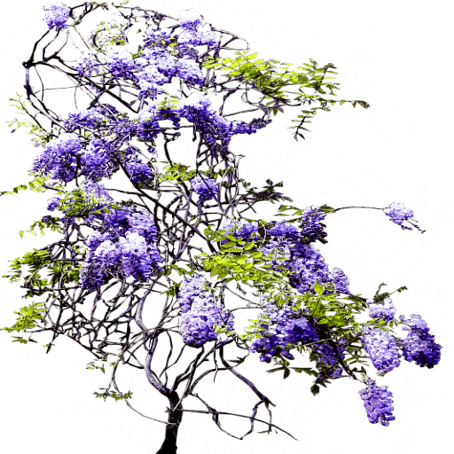 0_168889_3f0ba0be_orig_yapfiles.ru