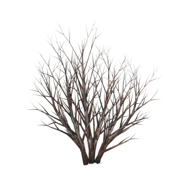 Bush1_yapfiles.ru