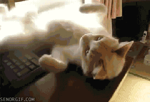 1310713235_like-a-boss-2-gif-3