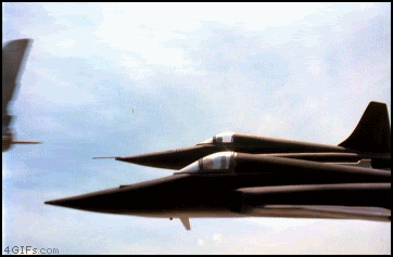 Dogfighting