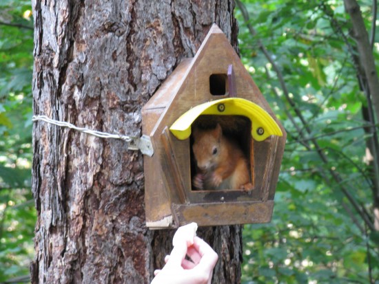 Изображение 004