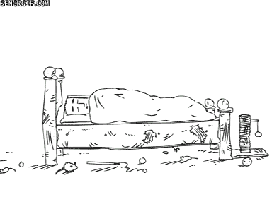 feed-the-cat-dummy