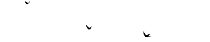 -птицы-36к