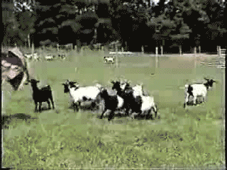 07177fa144d53a2292e269130b332dee