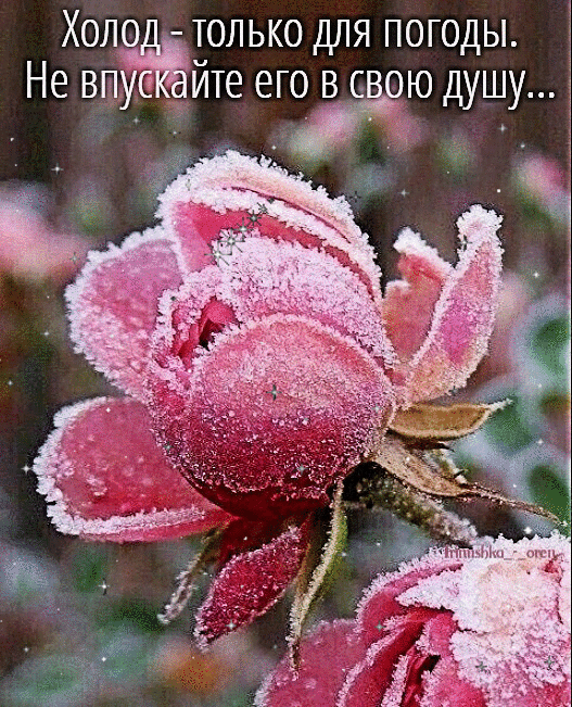 Тепла в душе