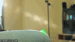 funnygifsjedicatscanbebothersome