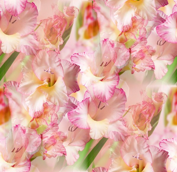 0_bd1a2_baf3feb4_XL--34 БЕСШОВН