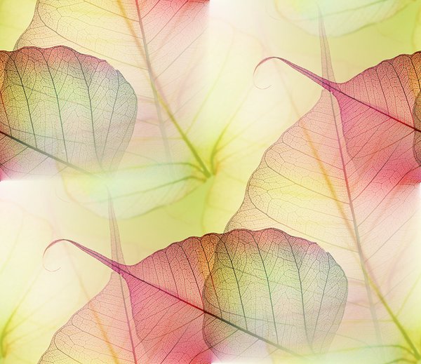 0_bd17d_7ee20071_XL--31 БЕСШОВН