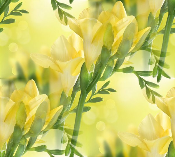 0_bd19b_62a48f45_XL--27 БЕСШОВН