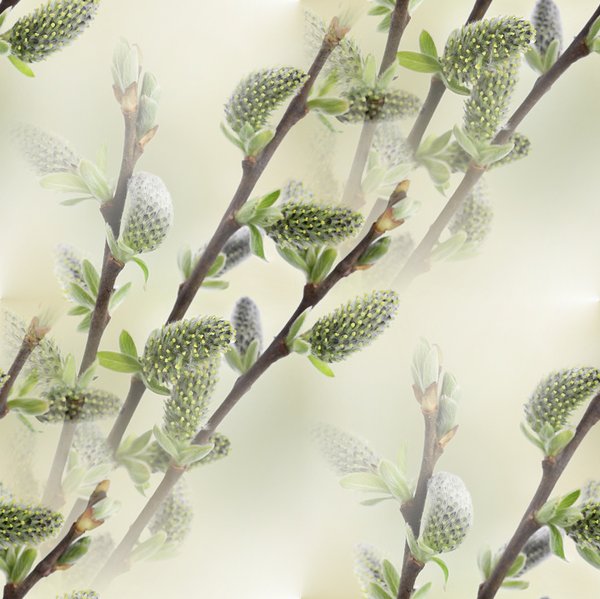 0_bd193_dcf95dcd_XL--16 БЕСШОВН