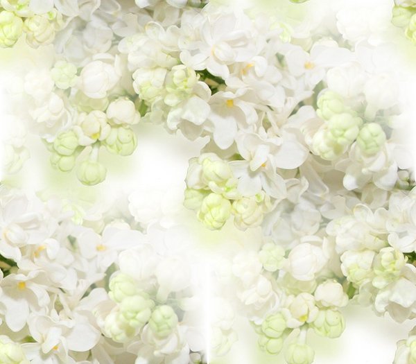 0_bd195_5befa863_XL--15 БЕСШОВН