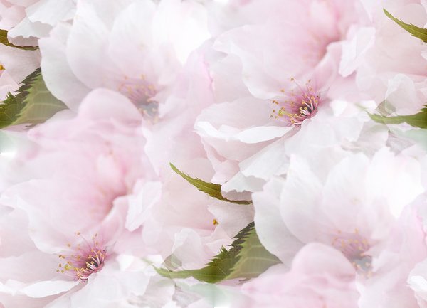 0_bd197_1cdb602f_XL--13 БЕСШОВН