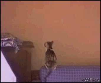 1314083537_1305708406_1304580686_101