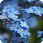 .jpg-ОВАЛ.pngАВА