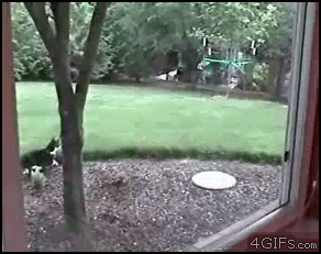 1316593598_gifs_04