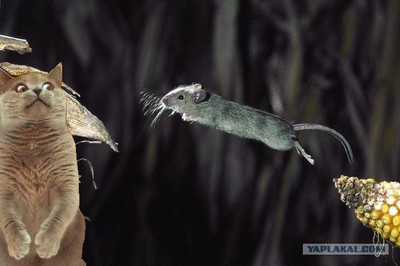 9dc8f58bc314f4d1b1c67393e580ef34